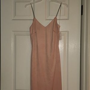 Windsor Blush Velvet Dress